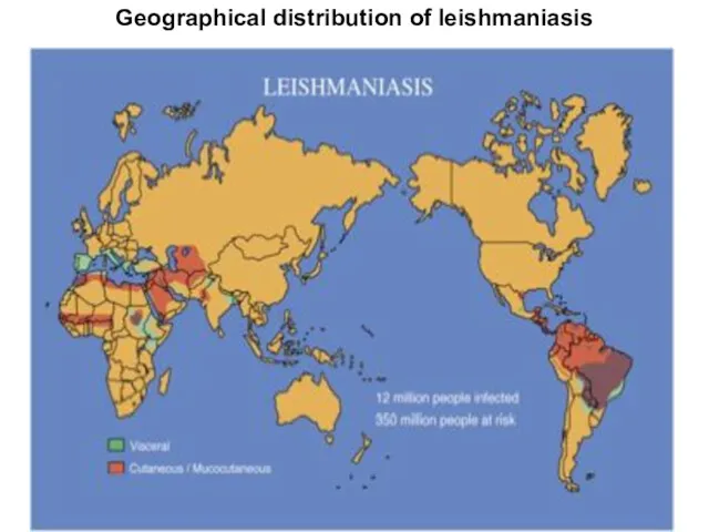 Geographical distribution of leishmaniasis