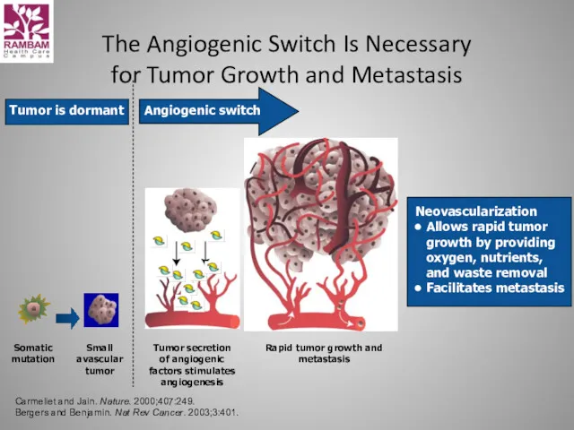 The Angiogenic Switch Is Necessary for Tumor Growth and Metastasis