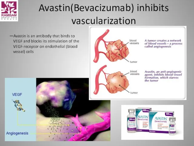 Avastin(Bevacizumab) inhibits vascularization —Avastin is an antibody that binds to