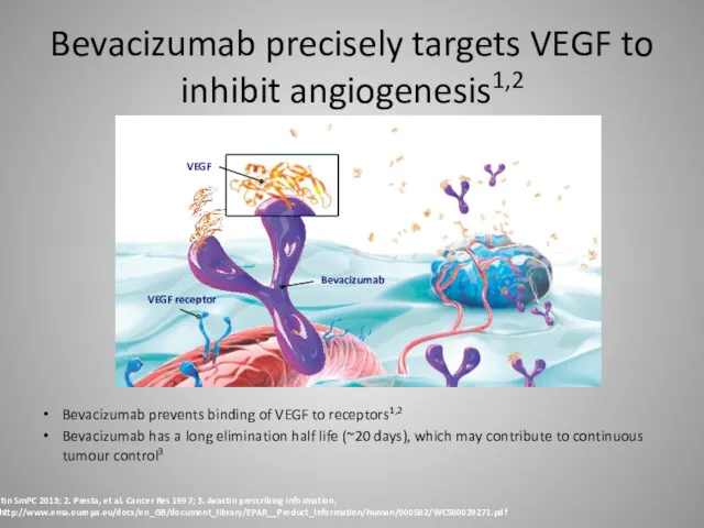 Bevacizumab precisely targets VEGF to inhibit angiogenesis1,2 Bevacizumab prevents binding