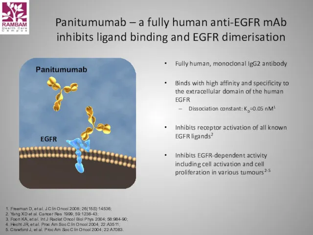 Panitumumab Panitumumab – a fully human anti-EGFR mAb inhibits ligand