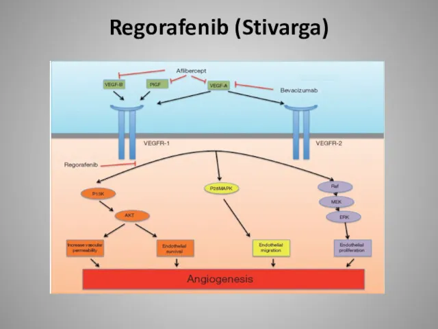 Regorafenib (Stivarga)