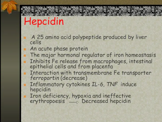 Hepcidin A 25 amino acid polypeptide produced by liver cells