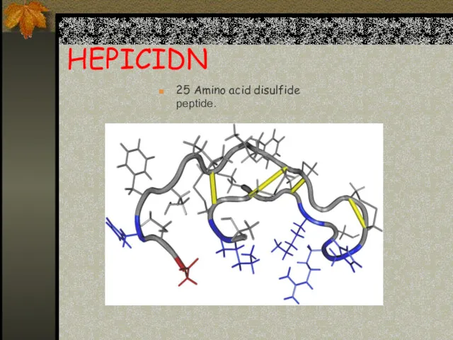 HEPICIDN 25 Amino acid disulfide peptide.