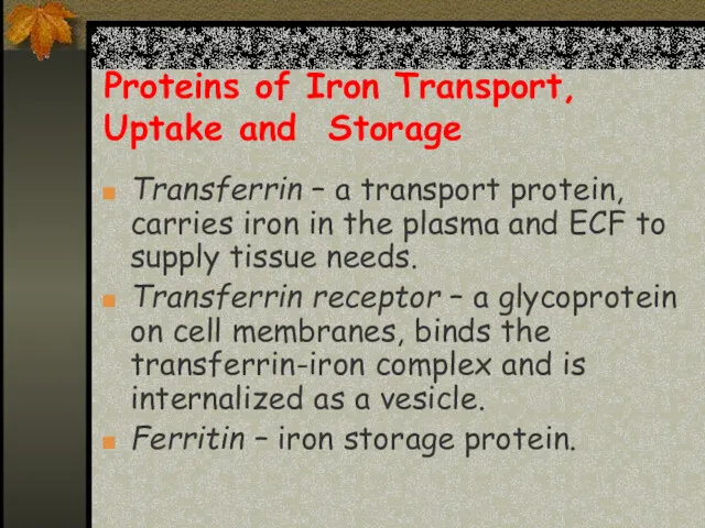 Proteins of Iron Transport, Uptake and Storage Transferrin – a