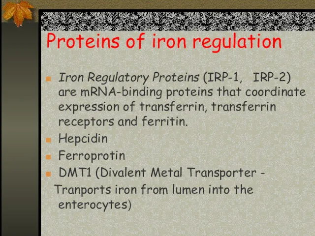 Proteins of iron regulation Iron Regulatory Proteins (IRP-1, IRP-2) are