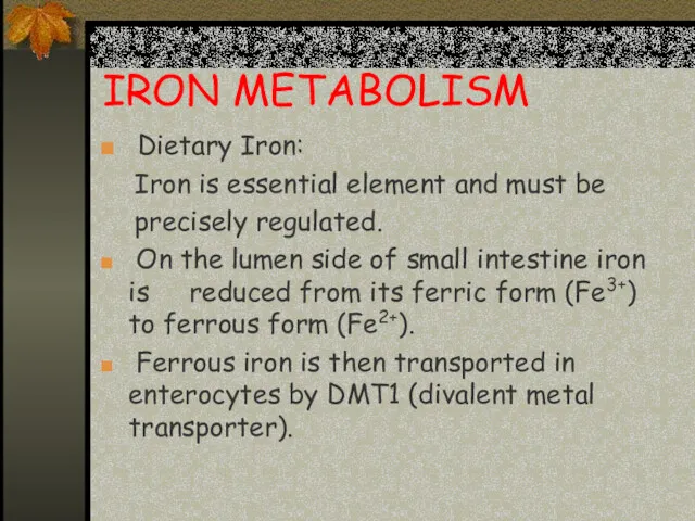 IRON METABOLISM Dietary Iron: Iron is essential element and must