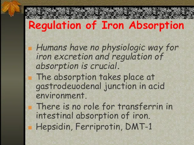 Regulation of Iron Absorption Humans have no physiologic way for