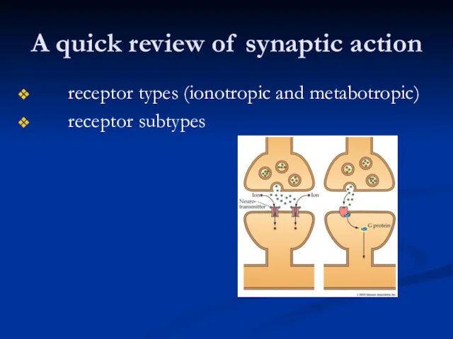 A quick review of synaptic action receptor types (ionotropic and metabotropic) receptor subtypes