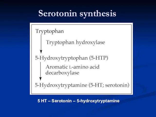 Serotonin synthesis 5 HT – Serotonin – 5-hydroxytryptamine