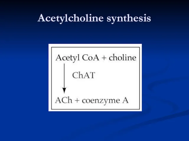 Acetylcholine synthesis