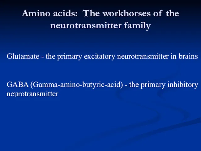Amino acids: The workhorses of the neurotransmitter family Glutamate - the primary excitatory