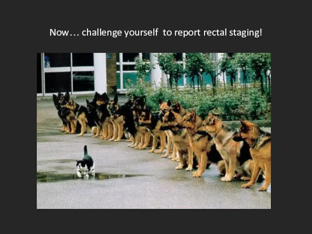 Now… challenge yourself to report rectal staging!