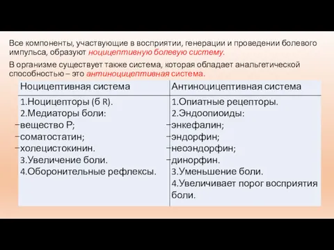 Все компоненты, участвующие в восприятии, генерации и проведении болевого импульса,