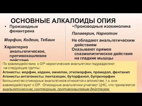 ОСНОВНЫЕ АЛКАЛОИДЫ ОПИЯ Производные изохинолина Папаверин, Наркотин Не обладают анальгетическим