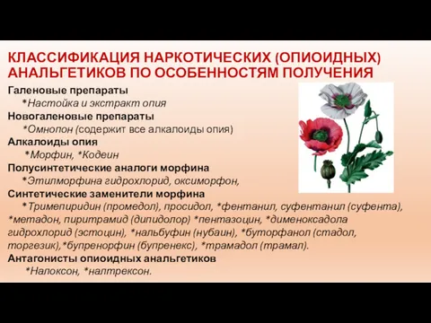 КЛАССИФИКАЦИЯ НАРКОТИЧЕСКИХ (ОПИОИДНЫХ) АНАЛЬГЕТИКОВ ПО ОСОБЕННОСТЯМ ПОЛУЧЕНИЯ Галеновые препараты *Настойка