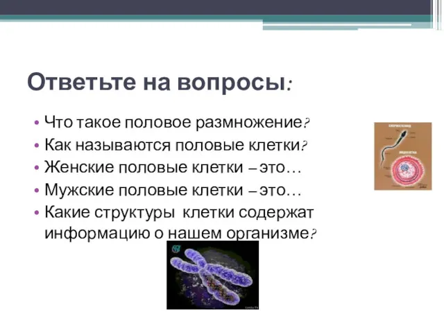 Ответьте на вопросы: Что такое половое размножение? Как называются половые