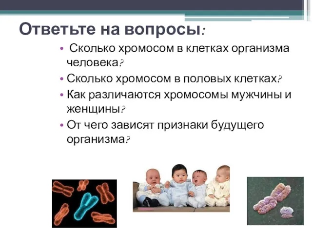 Ответьте на вопросы: Сколько хромосом в клетках организма человека? Сколько