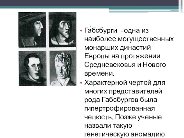 Га́бсбурги - одна из наиболее могущественных монарших династий Европы на