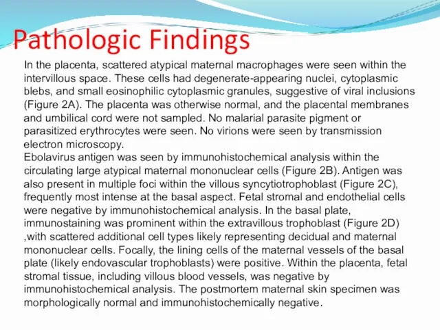 Pathologic Findings In the placenta, scattered atypical maternal macrophages were