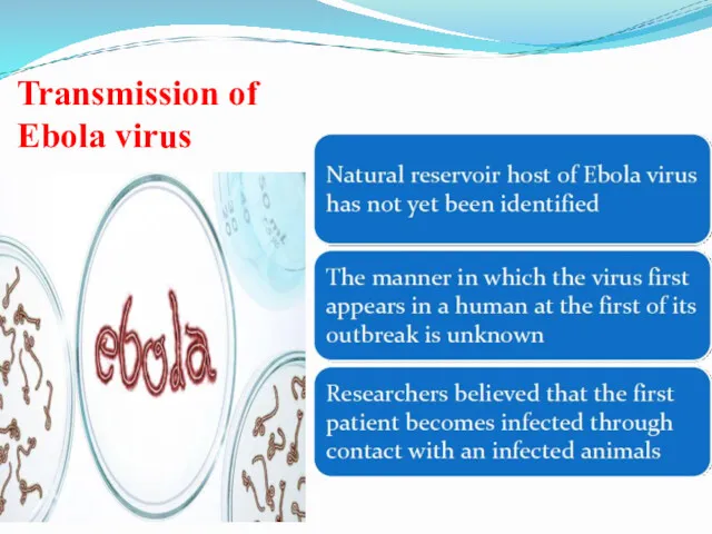 Transmission of Ebola virus