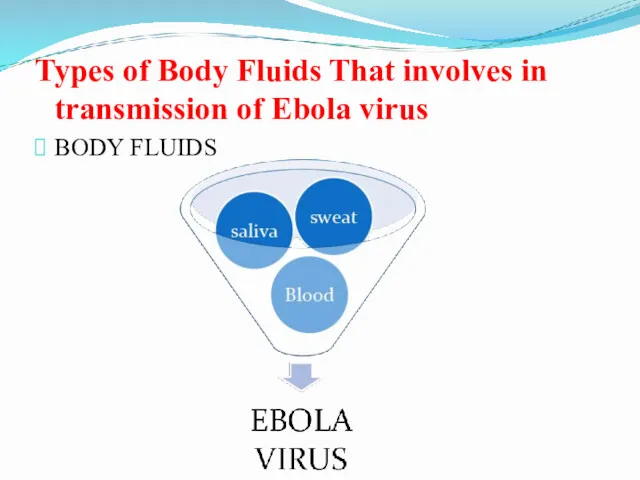 Types of Body Fluids That involves in transmission of Ebola virus BODY FLUIDS
