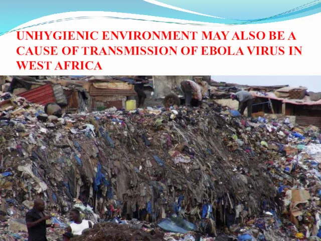 UNHYGIENIC ENVIRONMENT MAY ALSO BE A CAUSE OF TRANSMISSION OF EBOLA VIRUS IN WEST AFRICA