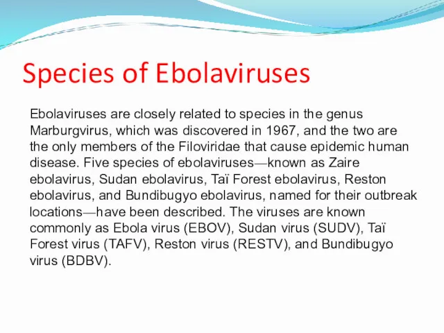 Species of Ebolaviruses Ebolaviruses are closely related to species in