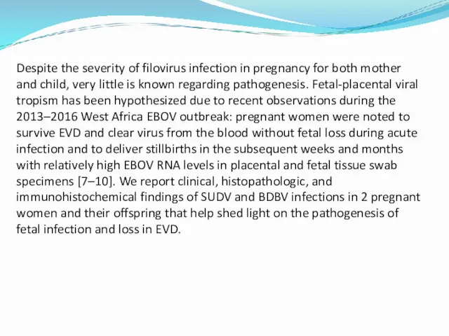 Despite the severity of filovirus infection in pregnancy for both