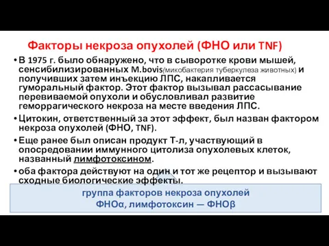 группа факторов некроза опухолей ФНОα, лимфотоксин — ФНОβ В 1975 г. было обнаружено,