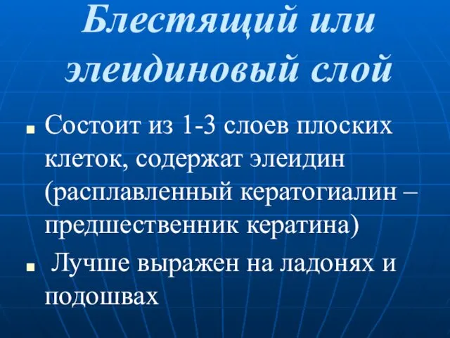 Блестящий или элеидиновый слой Состоит из 1-3 слоев плоских клеток,