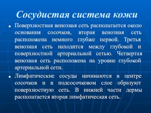 Сосудистая система кожи Поверхностная венозная сеть располагается около основания сосочков,