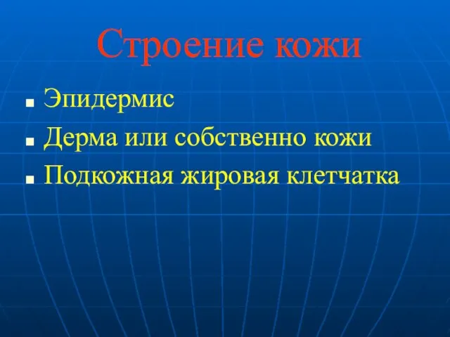 Строение кожи Эпидермис Дерма или собственно кожи Подкожная жировая клетчатка