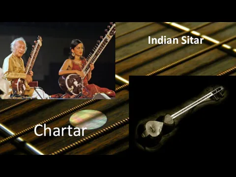 Indian Sitar Chartar