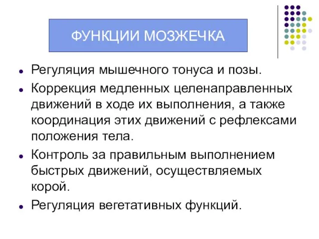 Функции мозжечка: Регуляция мышечного тонуса и позы. Коррекция медленных целенаправленных