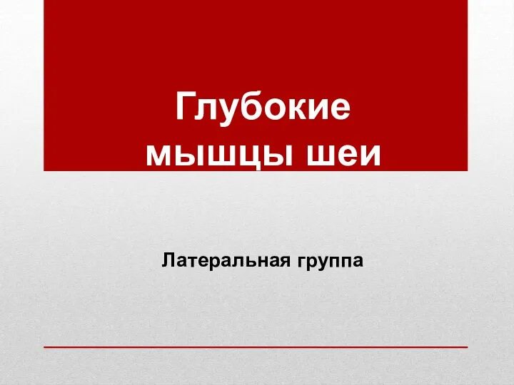 Глубокие мышцы шеи Латеральная группа