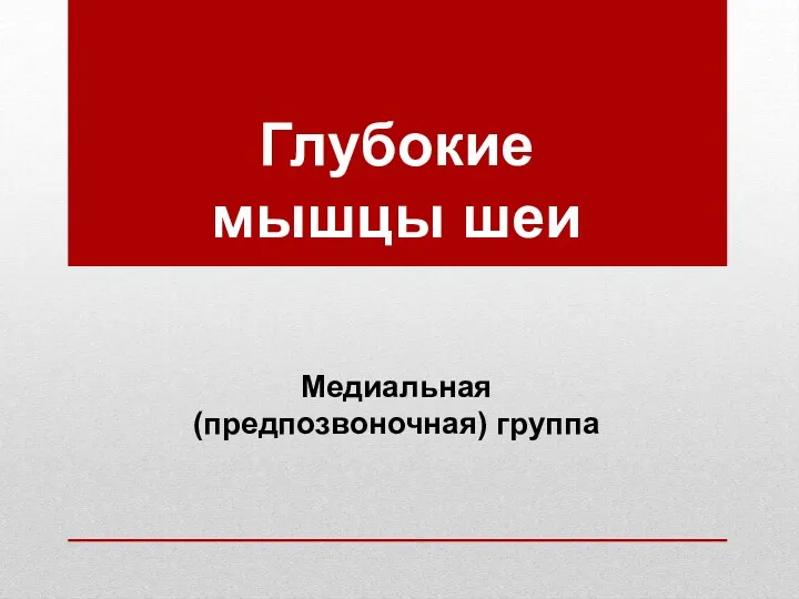 Глубокие мышцы шеи Медиальная (предпозвоночная) группа