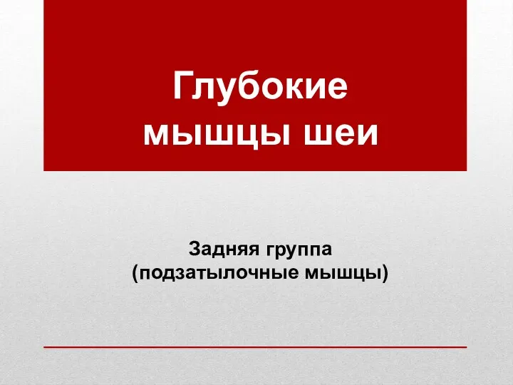 Глубокие мышцы шеи Задняя группа (подзатылочные мышцы)