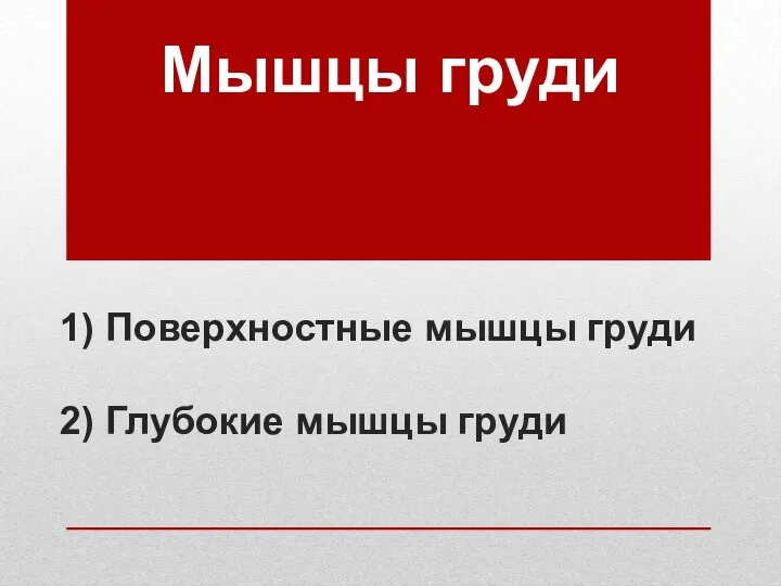 1) Поверхностные мышцы груди 2) Глубокие мышцы груди Мышцы груди