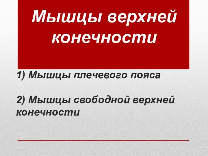 1) Мышцы плечевого пояса 2) Мышцы свободной верхней конечности Мышцы верхней конечности