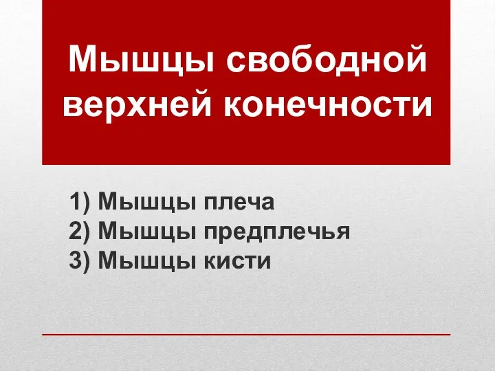 Мышцы свободной верхней конечности 1) Мышцы плеча 2) Мышцы предплечья 3) Мышцы кисти