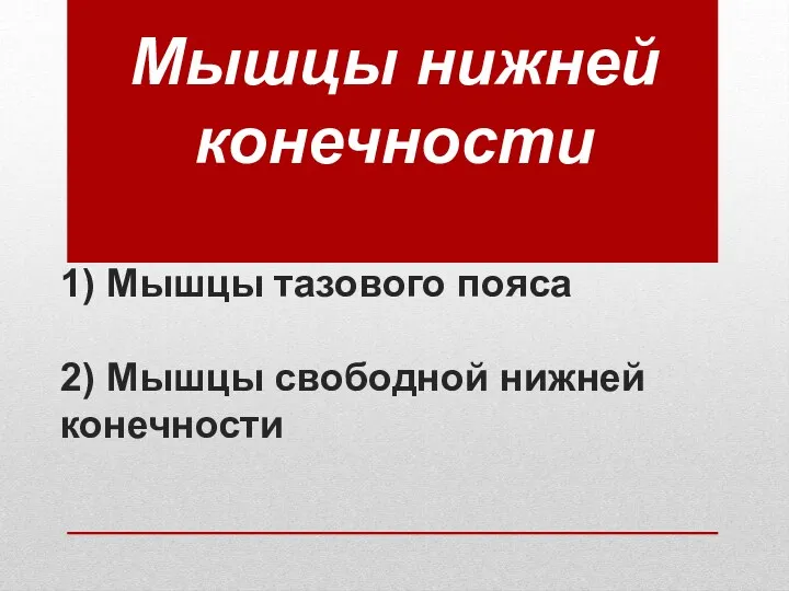 1) Мышцы тазового пояса 2) Мышцы свободной нижней конечности Мышцы нижней конечности