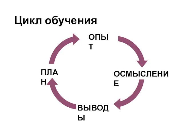 Цикл обучения