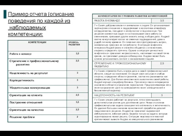 Пример отчета (описание поведения по каждой из наблюдаемых компетенции:
