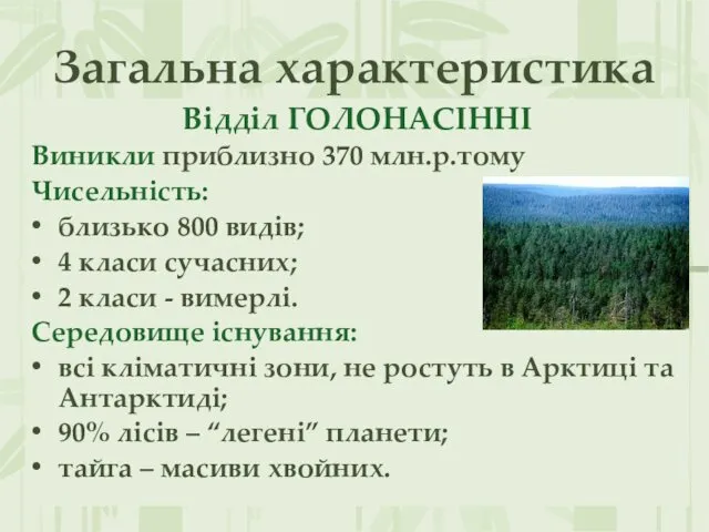 Загальна характеристика Відділ ГОЛОНАСІННІ Виникли приблизно 370 млн.р.тому Чисельність: близько