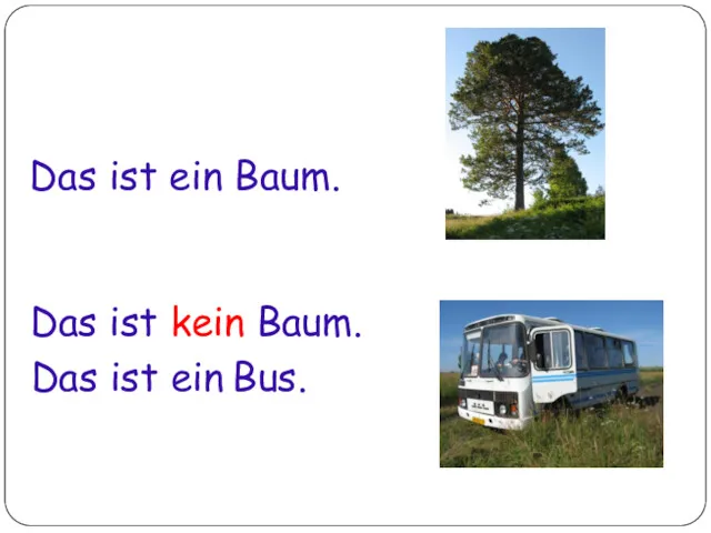 Das ist ein Baum. Das ist kein Baum. Das ist ein Bus.