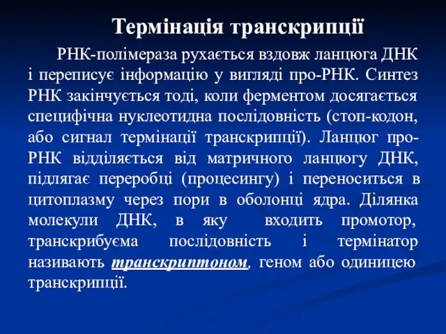 Термінація транскрипції РНК-полімераза рухається вздовж ланцюга ДНК і переписує інформацію