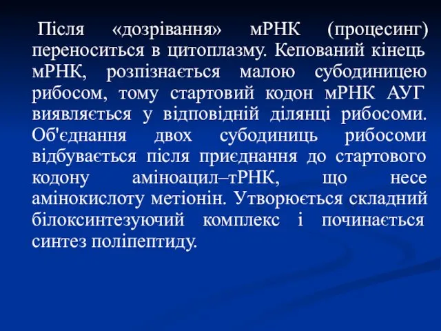 Після «дозрівання» мРНК (процесинг) переноситься в цитоплазму. Кепований кінець мРНК,