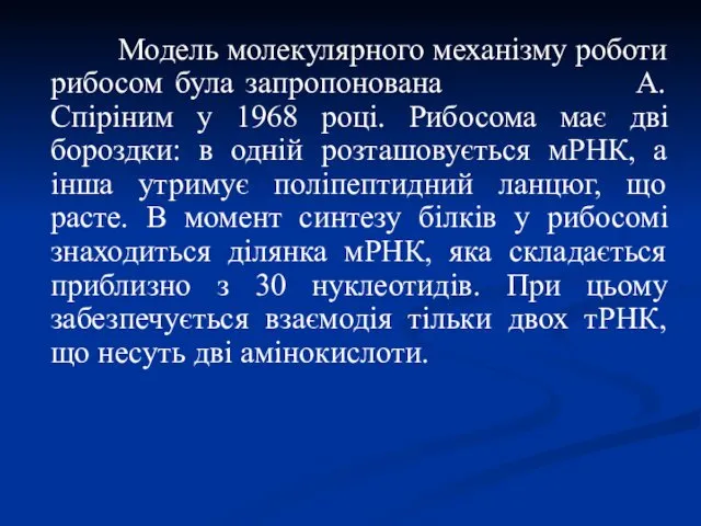 Модель молекулярного механізму роботи рибосом була запропонована А. Спіріним у