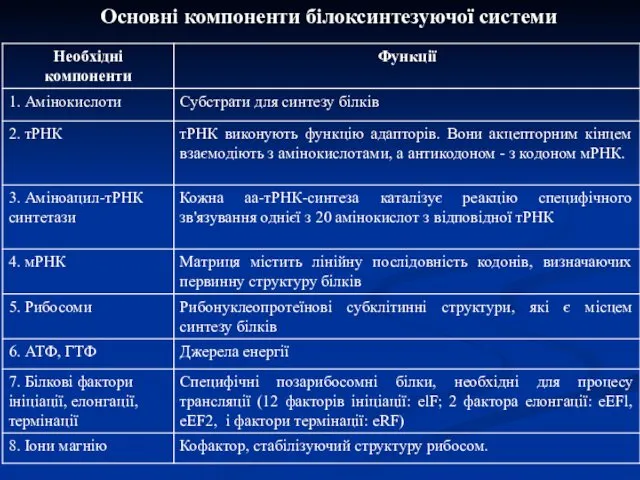 Основні компоненти білоксинтезуючої системи